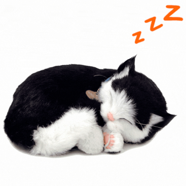 Интерактивная игрушка Perfect Petzzz Now we're huggable! Short Haired Cat 92-06 Черный Универсальный, 3+ photo 2