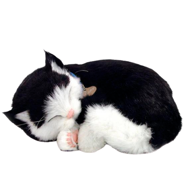 Интерактивная игрушка Perfect Petzzz Now we're huggable! Short Haired Cat 92-06 Черный Универсальный, 3+ photo 4