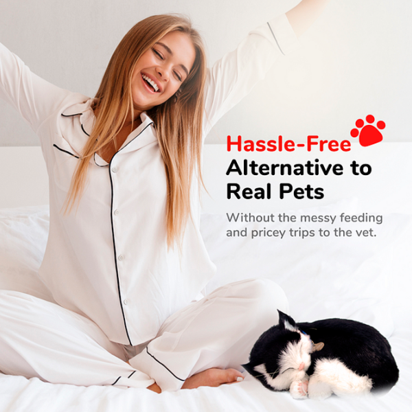 Интерактивная игрушка Perfect Petzzz Now we're huggable! Short Haired Cat 92-06 Черный Универсальный, 3+ photo 6