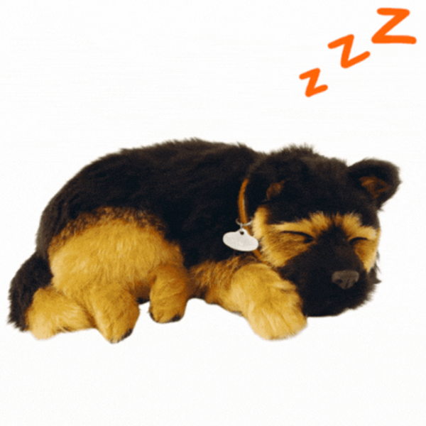 Интерактивная игрушка Perfect Petzzz Now we're huggable! German Shepherd 91-12 Черный Универсальный, 3+ photo 3