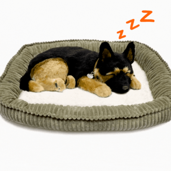 Интерактивная игрушка Perfect Petzzz Now we're huggable! Немецкая овчарка 91-34 Черный Универсальный, 3+ photo 2