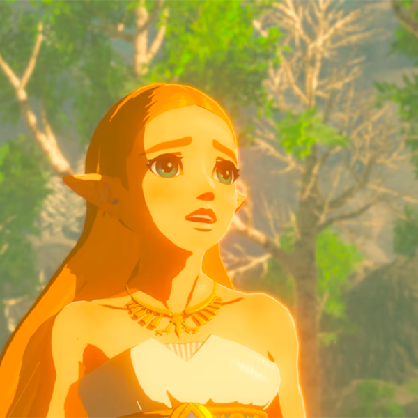 The Legend of Zelda Breath of the Wild Nintendo Switch 2 Action / 12+ photo 2