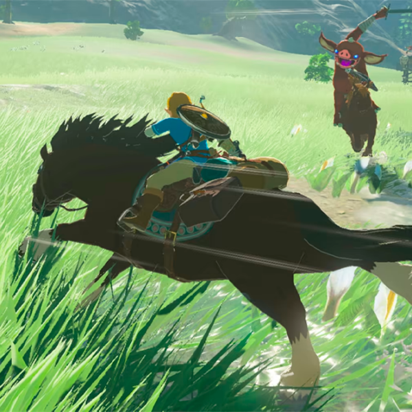 The Legend of Zelda Breath of the Wild Nintendo Switch 2 Action / 12+ photo 3