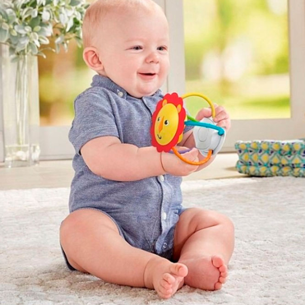 Интерактивная игрушка Fisher Price FVF42 Разноцветный 0+ photo 5
