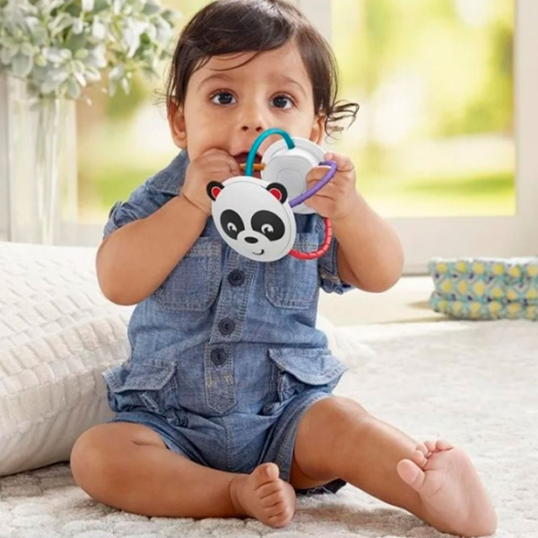 Интерактивная игрушка Fisher Price FVF42 Разноцветный 0+ photo 7