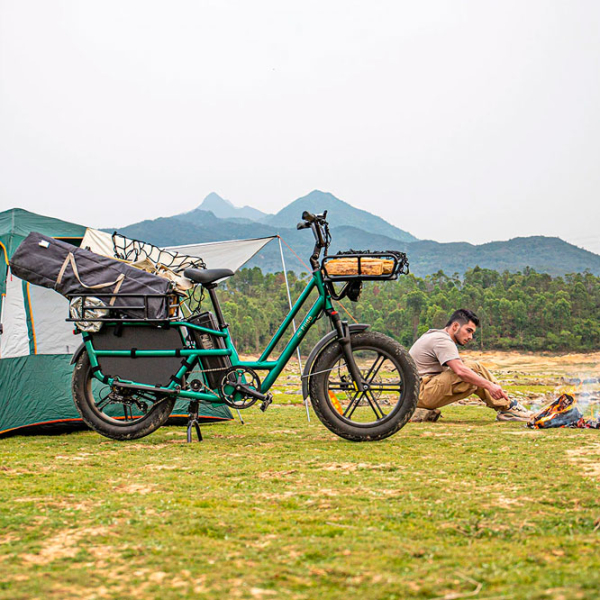 Bicicletă electrică FIIDO T2 Green 20" | 250 W | până la 130 km photo 7