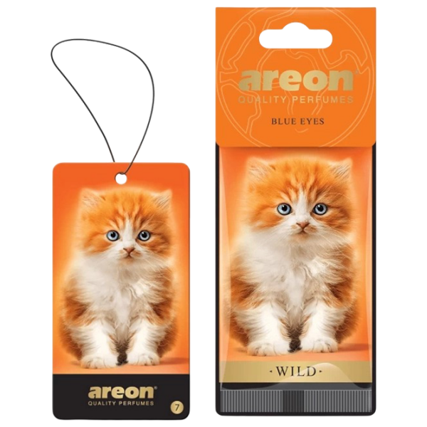 Aromatizator auto Areon Wild Orange Blue Eyes photo 1