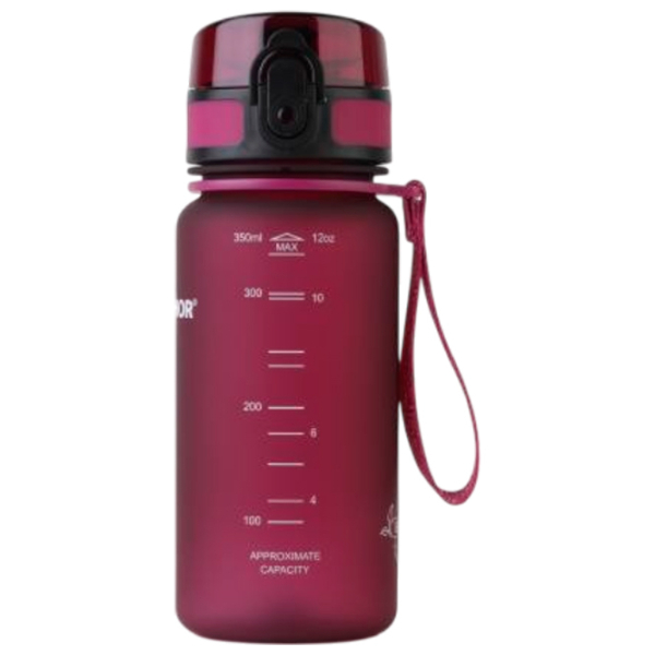 Sticlă pentru apă Aquaphor City Ruby 0.35l photo 2