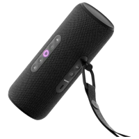 Boxă portabilă Yandex Street Black 30 W