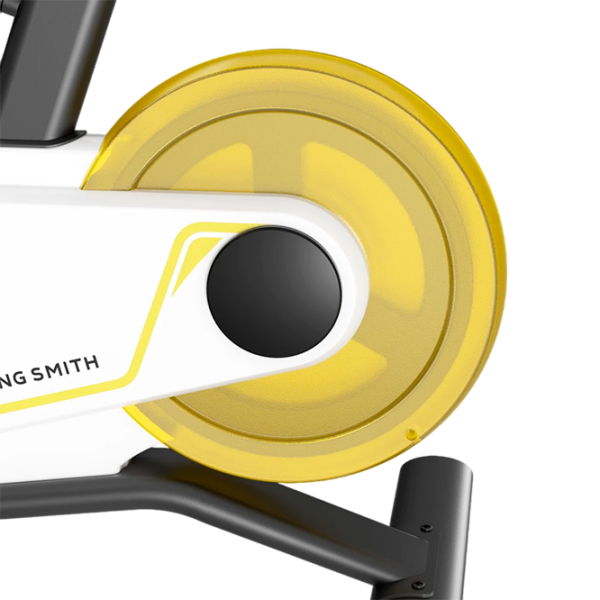 Bicicleta Spinning Kingsmith PB08S Yellow 100 kg,  photo 11