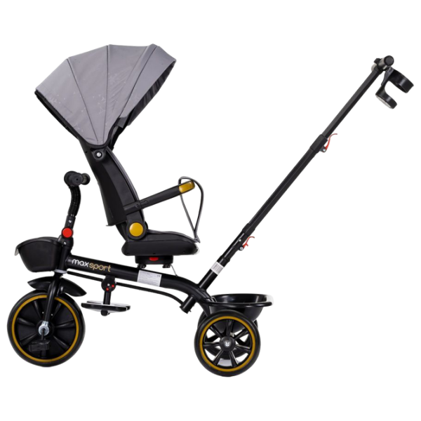 Трицикл Chipolino Max Sport Серый  Алюминий / Детский photo 3