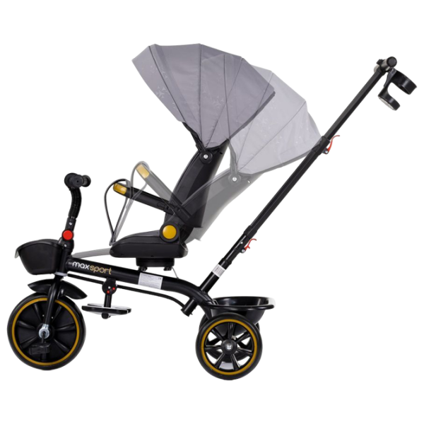 Трицикл Chipolino Max Sport Серый  Алюминий / Детский photo 4