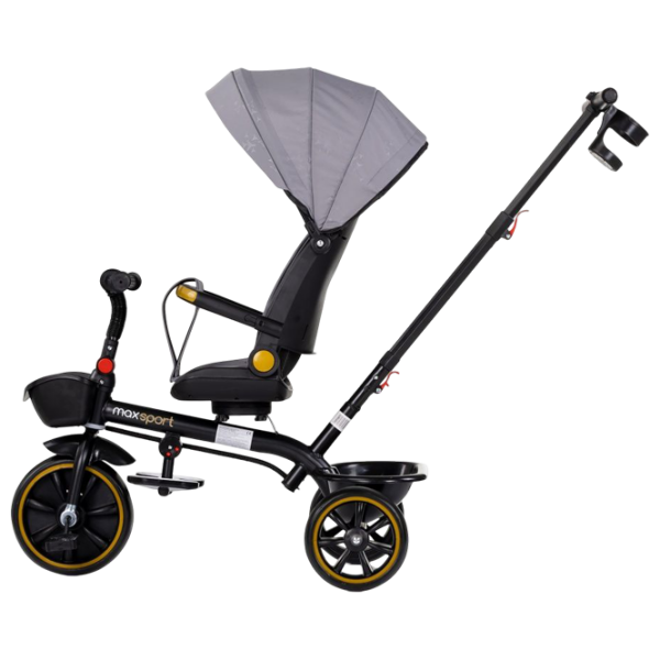 Трицикл Chipolino Max Sport Серый  Алюминий / Детский photo 5