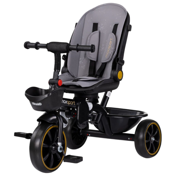 Трицикл Chipolino Max Sport Серый  Алюминий / Детский photo 6