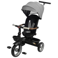 Bicicletă Caretero Saber Gray  Metal / Pentru copii