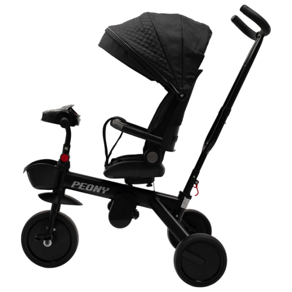 Triciclu Baby Mix Peony EVA Black  Metal / Pentru copii photo 2