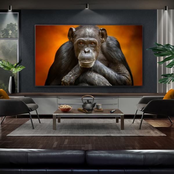 Televizor LG OLED48C54LA Smart TV 4K Black 48" | OLED | 4K photo 5