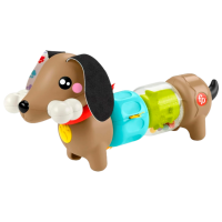 Jucărie interactivă Fisher Price Animals HTW91 Brown 0.5+