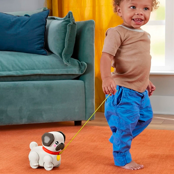 Jucărie de împins și tras Fisher Price Animals HTW94 White 1+ photo 4