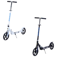 Trotinetă pentru copii cu trei roți Scooter 2610011-6P (2610011-6P) Multicolor 3 ani, 50 kg, Din PU