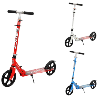 Trotinetă pentru copii cu trei roți Scooter 2840001-6P (2840001-6P) Multicolor 4 ani, 100 kg, Din PU