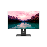 Монитор Lenovo ThinkVision T24-40 Черный 23.8" Full HD IPS WLED