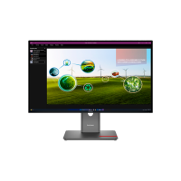 Монитор Lenovo ThinkVision P27Q-40 Черный 27" 2K IPS WLED