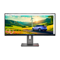Монитор Lenovo ThinkVision P34WD-40 Черный 34" WQHD IPS WLED