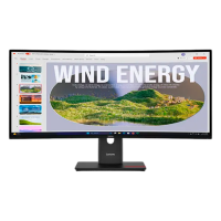 Монитор Lenovo ThinkVision T34WD-40 Черный 34" WQHD VA WLED