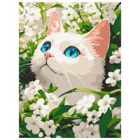 Pictură pe numere BrushMe Pisicuța primăverii KBS0191FC 40 x 30 cm, Pânză