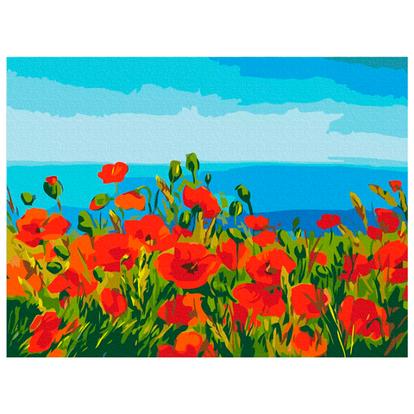 Pictură pe numere BrushMe Câmp de maci, Claude Monet RBS1005FC 40 x 30 cm, Pânză photo 1