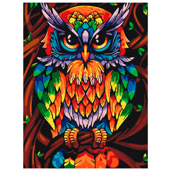 Pictură pe numere BrushMe Bufnița înțeleaptă a curcubeului RBS52241FC 40 x 30 cm, Pânză photo 1