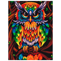 Pictură pe numere BrushMe Bufnița înțeleaptă a curcubeului RBS52241FC 40 x 30 cm, Pânză
