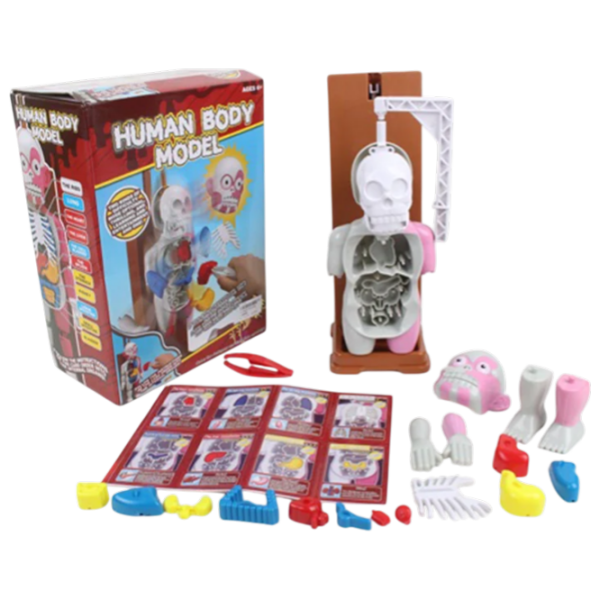 Joc educativ Richi Tichi The human body Dezvoltare, 3+