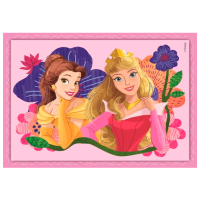 Puzzle Clementoni Принцесса Диснея (21517) Количество деталей: 72, Рекомендуемый возраст: 3+