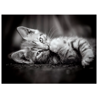 Puzzle Clementoni Kitty (39422) Количество деталей: 1000, Рекомендуемый возраст: 10+