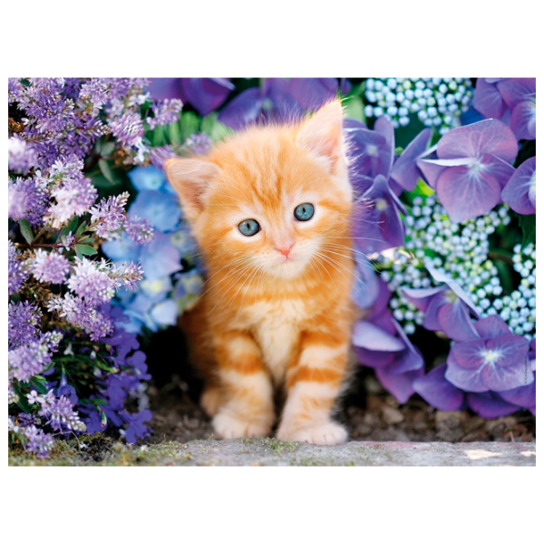 Puzzle Clementoni Ginger cat (30415) Numărul de piese: 500, Vârsta recomandată: 10+ photo 1