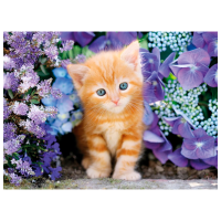 Puzzle Clementoni Ginger cat (30415) Numărul de piese: 500, Vârsta recomandată: 10+