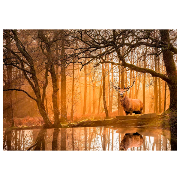 Puzzle Clementoni The Forest (35118) Количество деталей: 500, Рекомендуемый возраст: 9+ photo 1