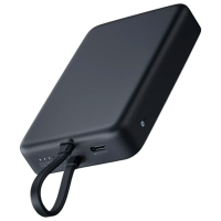 Power Bank 10000 мАч Xiaomi WPB1007MI (33 Вт) Тёмно-серый 