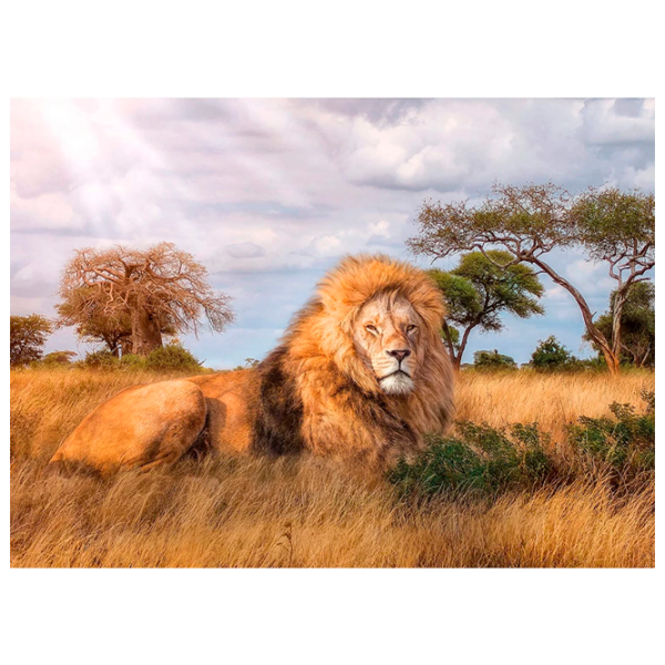 Puzzle Clementoni Lion King (39479) Количество деталей: 1000, Рекомендуемый возраст: 9+ photo 1