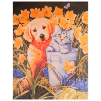 Pictură pe numere ChiToys BFB0217  50 x 40 cm, Pânză