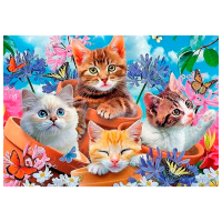 Pictură pe numere ChiToys BFB0387  50 x 40 cm, Pânză