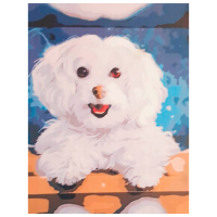Pictură pe numere ChiToys BFB0645  50 x 40 cm, Pânză