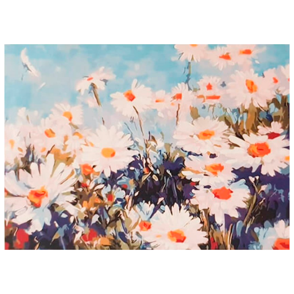 Pictură pe numere ChiToys BHI22336  50 x 40 cm, Pânză photo 1