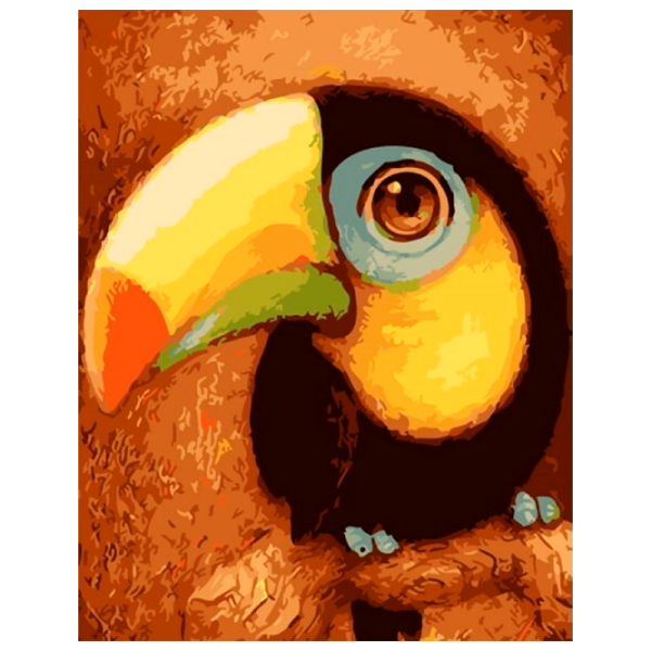 Pictură pe numere PRC Tucanul 03239 50 x 40 cm, Pânză photo 1