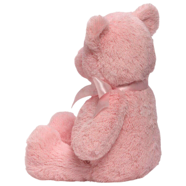 Мягкая игрушка Gund Animals My First Teddy 6055513 Розовый 0+ photo 2