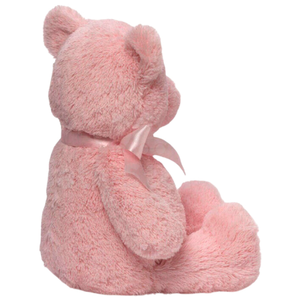 Мягкая игрушка Gund Animals My First Teddy 6055513 Розовый 0+ photo 3