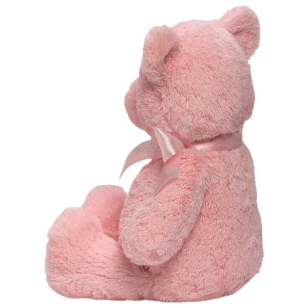 Мягкая игрушка Gund Animals My First Teddy 6055510 Розовый 3+ photo 2