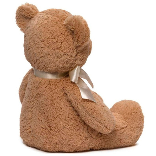 Мягкая игрушка Gund Animals My First Teddy 6048630 Коричневый 3+ photo 2